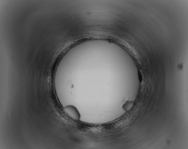 X0000100940306200806241209