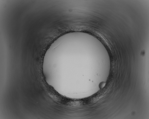 X0000100940307200806241209
