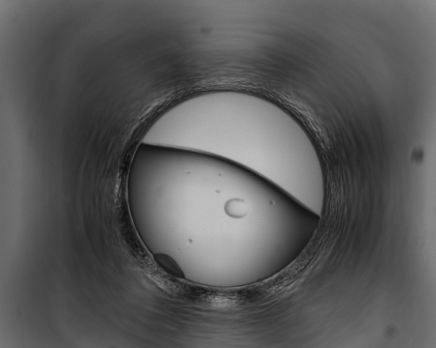 X0000100940308200806241209