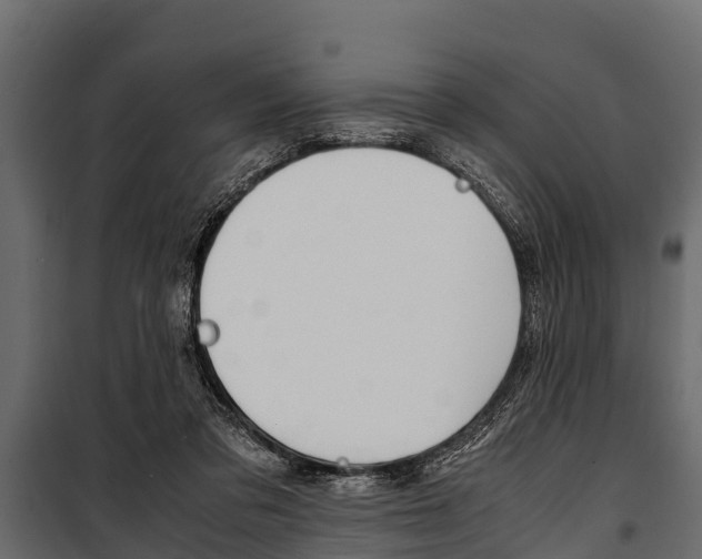 X0000100940309200806241209