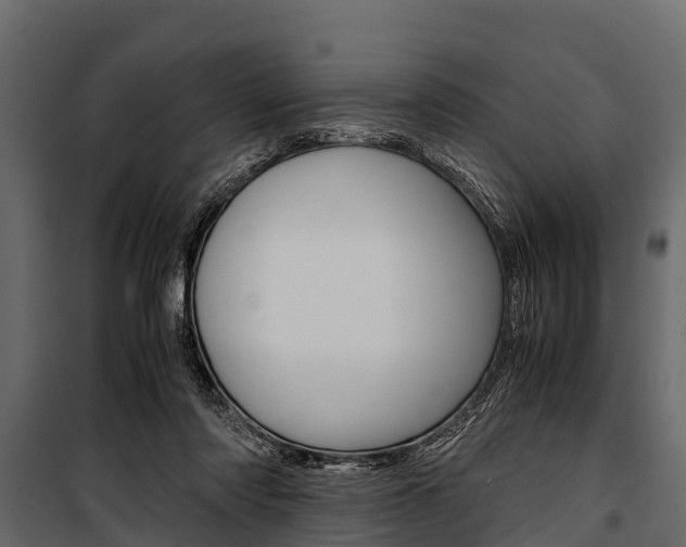 X0000100940310200806241209