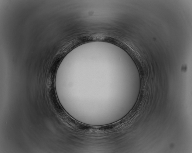 X0000100940311200806241209