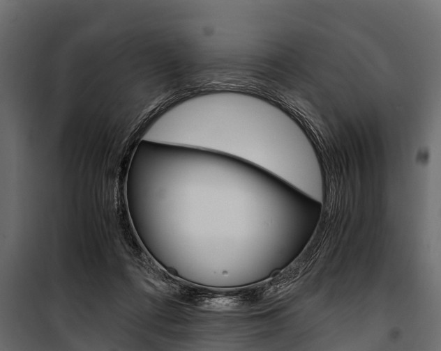 X0000100940312200806241209