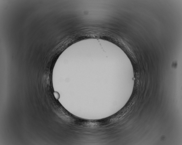 X0000100940313200806241209