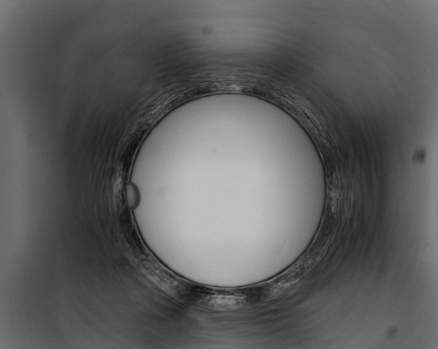 X0000100940314200806241209
