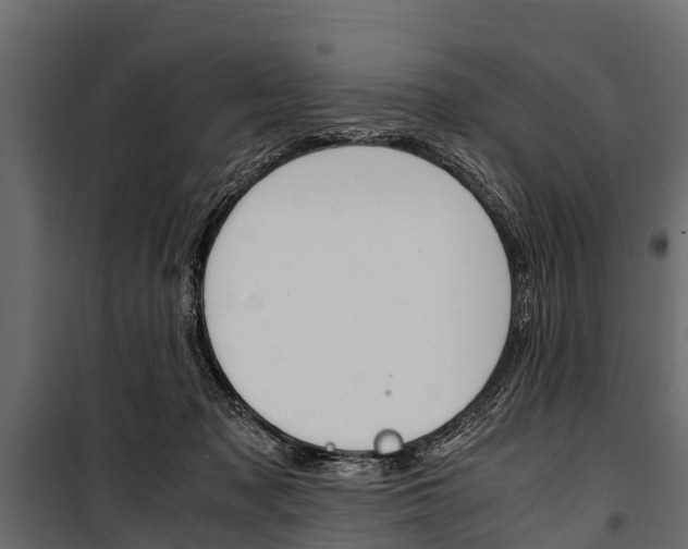 X0000100940317200806241209