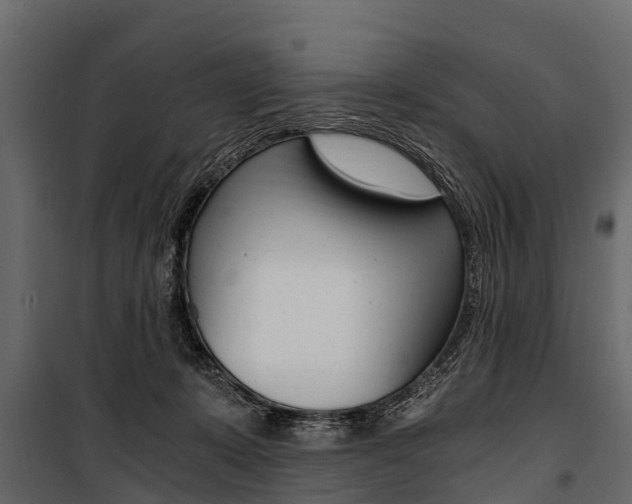 X0000100940319200806241209