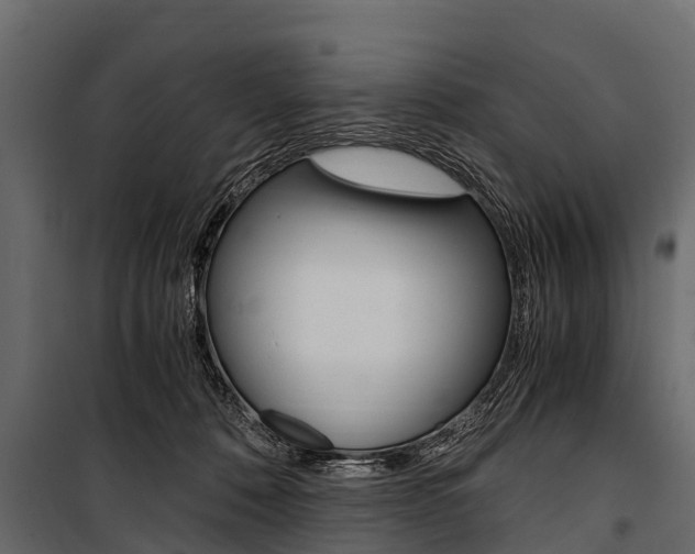 X0000100940320200806241209