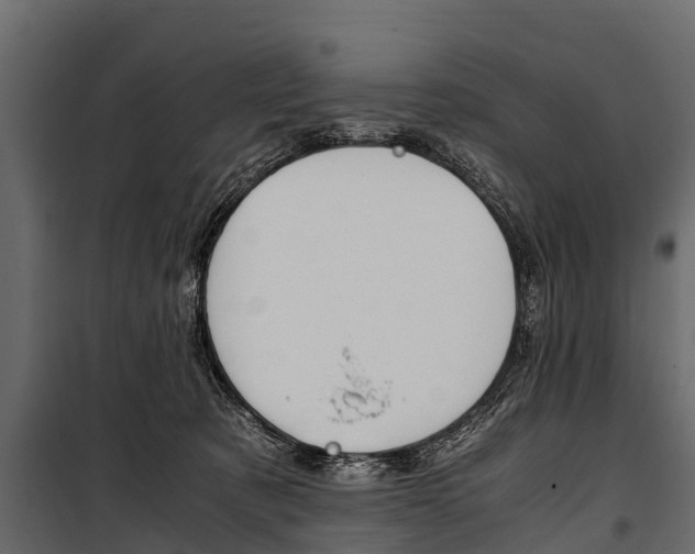 X0000100940321200806241209