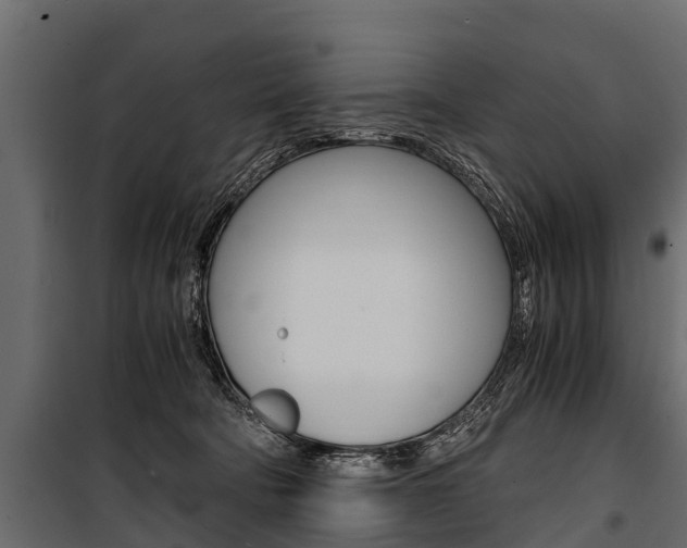 X0000100940322200806241208