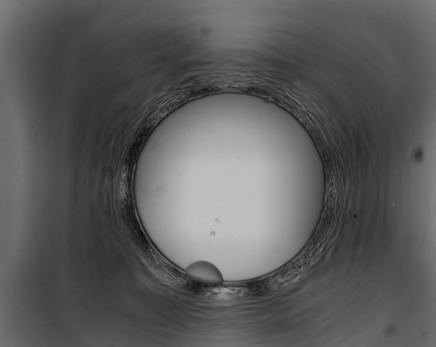 X0000100940323200806241208