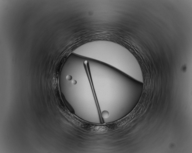 X0000100940324200806241208