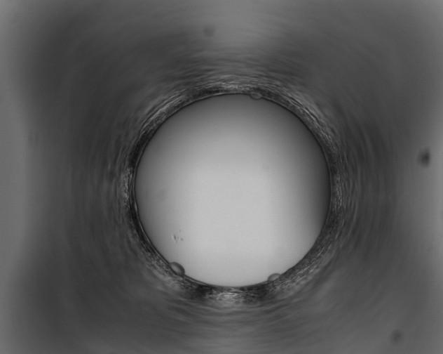 X0000100940325200806241208