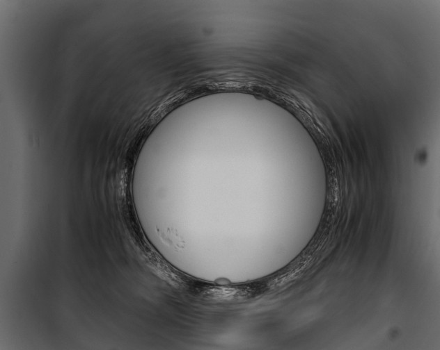 X0000100940326200806241208