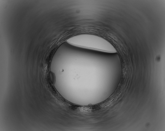 X0000100940327200806241208