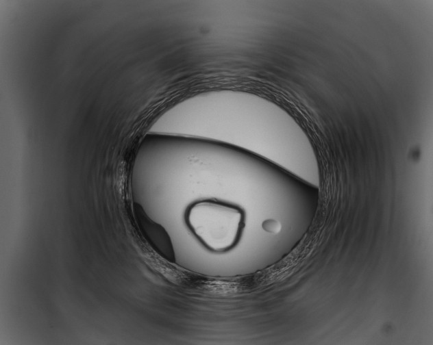 X0000100940328200806241208