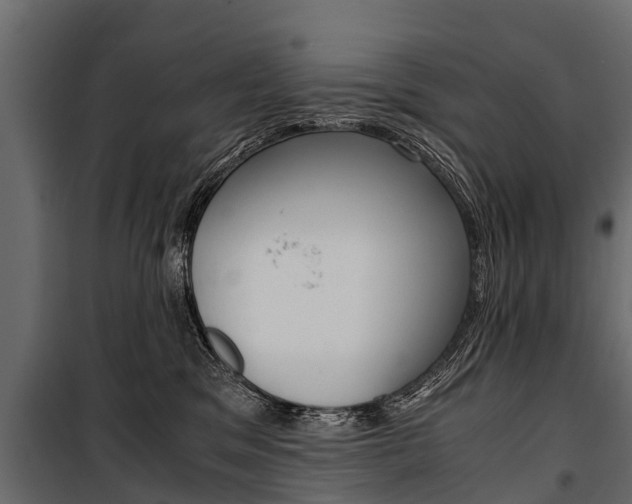 X0000100940329200806241208