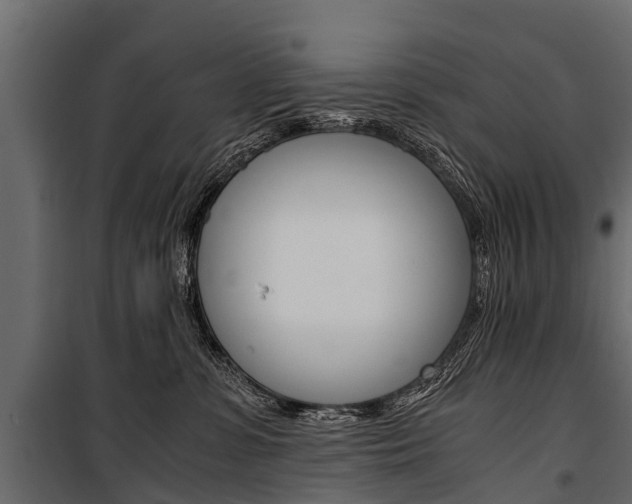X0000100940331200806241208