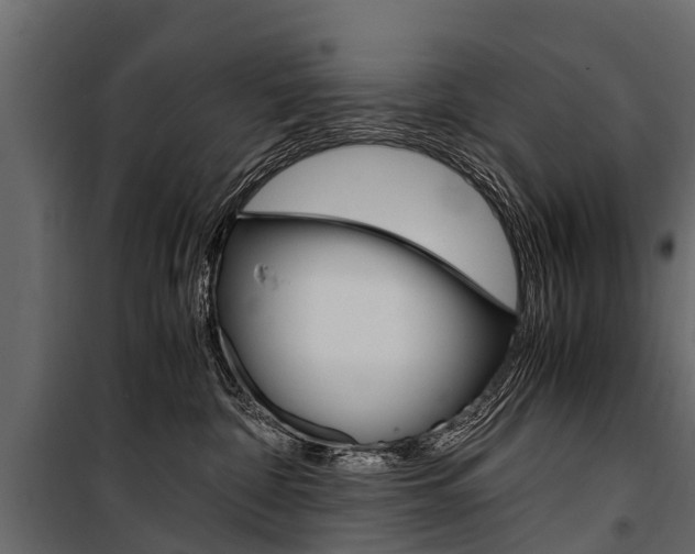 X0000100940332200806241208