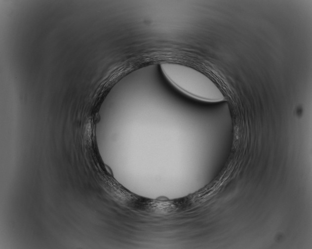 X0000100940333200806241208