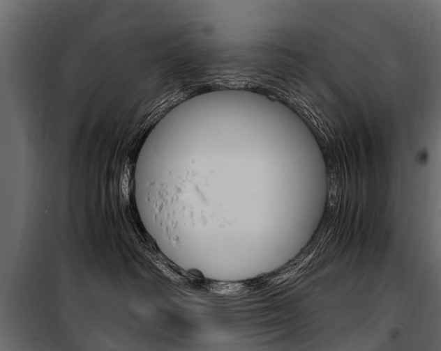 X0000100940334200806241208