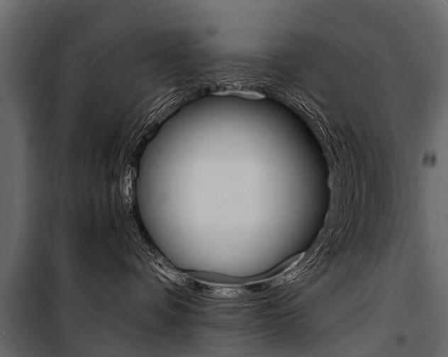 X0000100940336200806241208