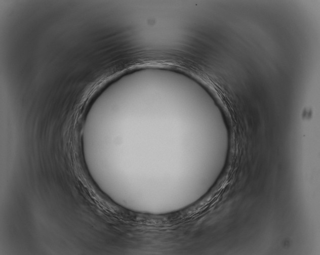 X0000100940337200806241207