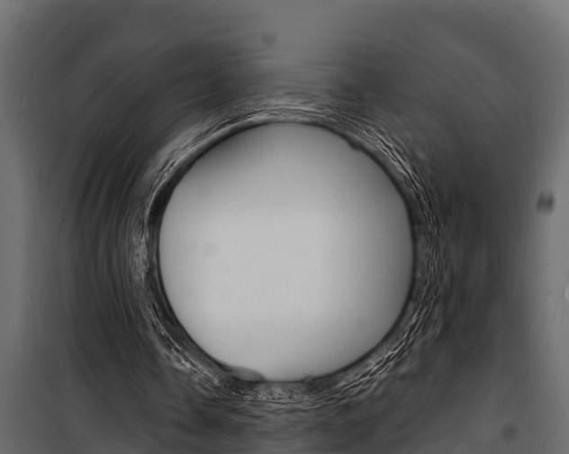 X0000100940338200806241207