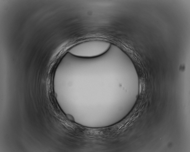 X0000100940339200806241207