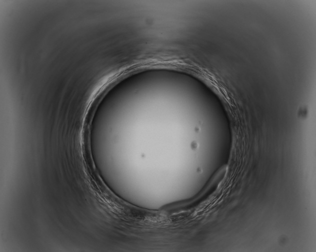 X0000100940340200806241207