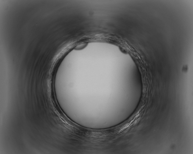 X0000100940341200806241208