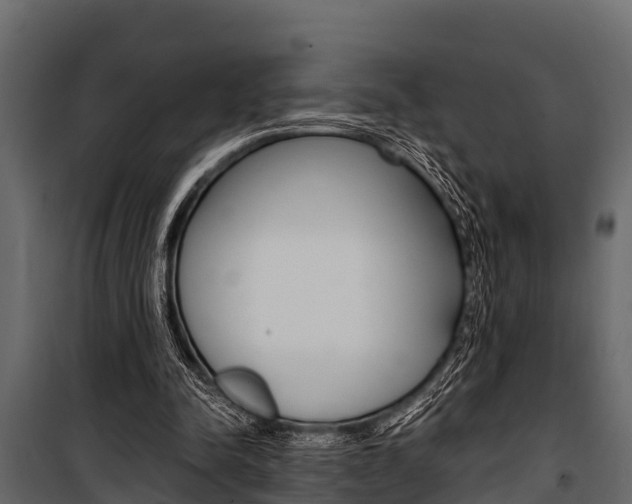 X0000100940342200806241208