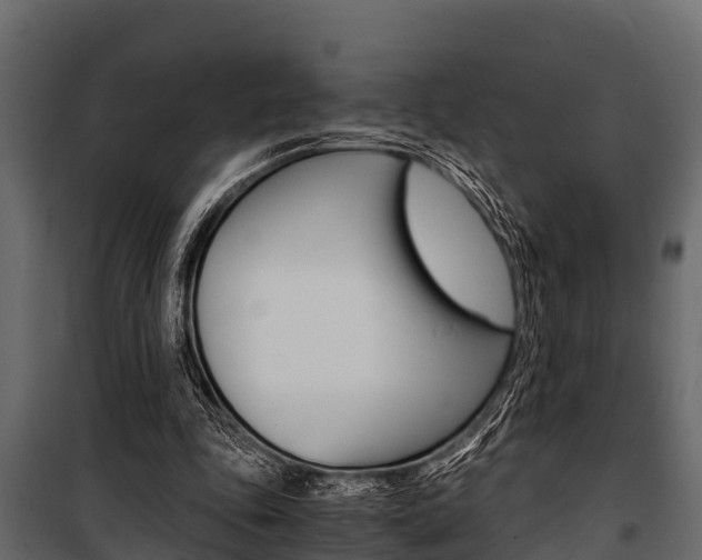 X0000100940343200806241208