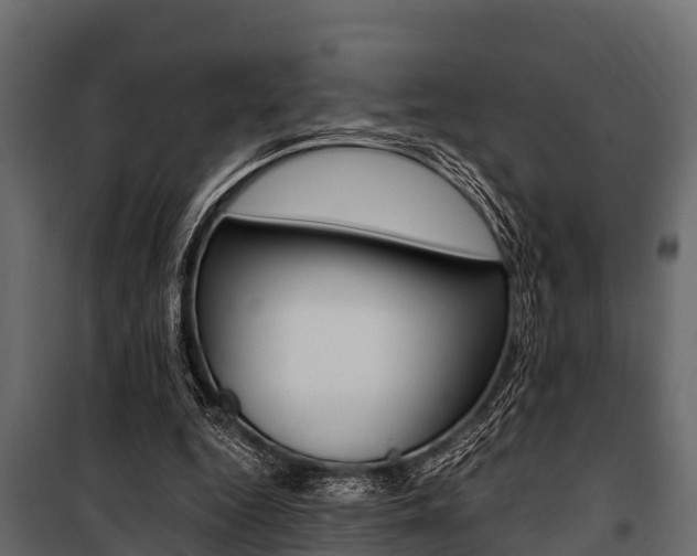 X0000100940344200806241208