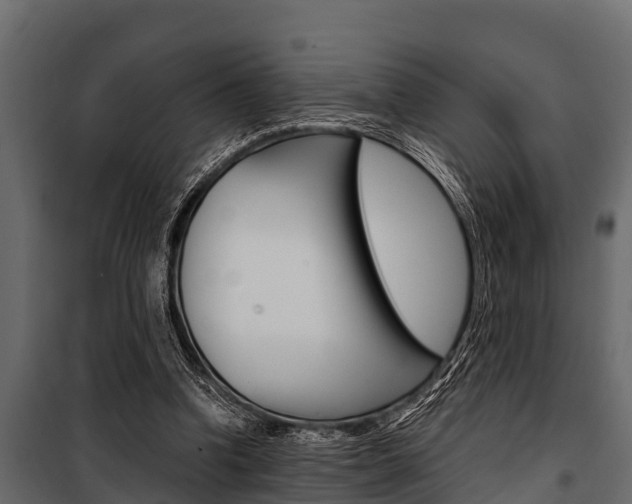 X0000100940346200806241208