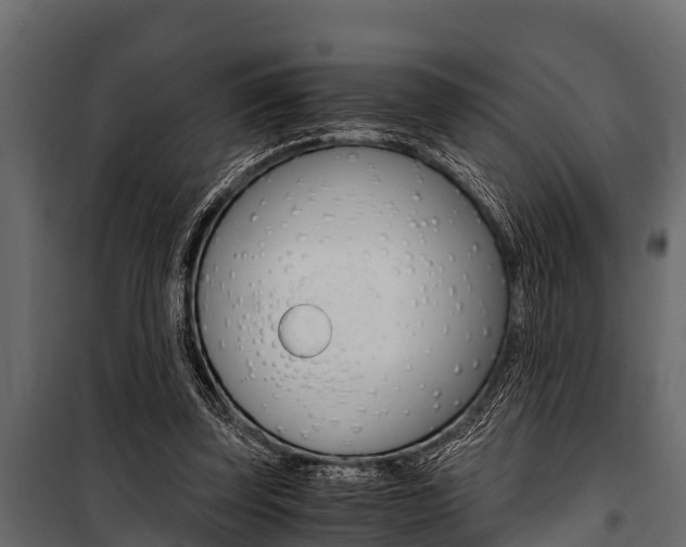 X0000100940347200806241208