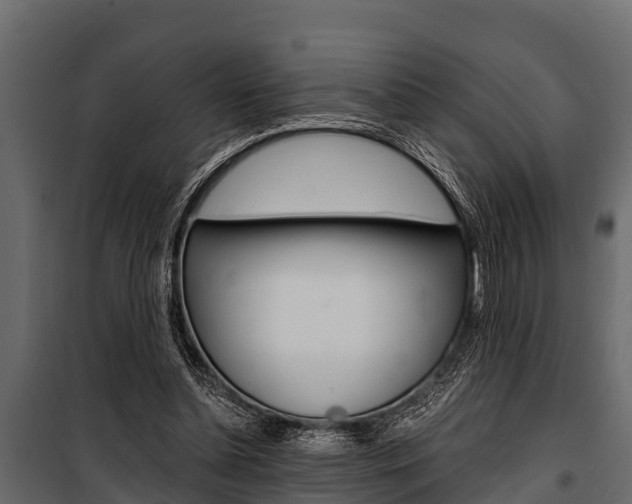 X0000100940348200806241208
