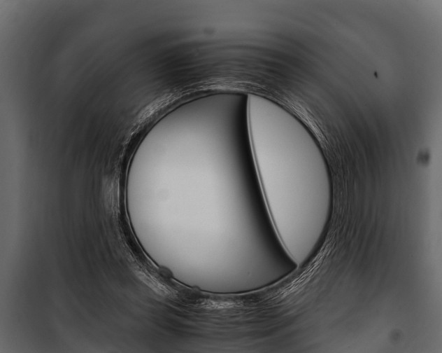 X0000100940349200806241208