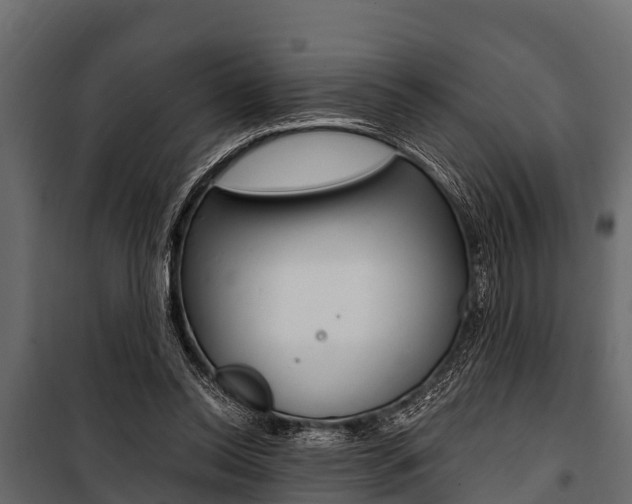 X0000100940350200806241208