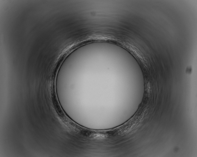 X0000100940352200806241208