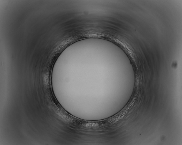 X0000100940353200806241208