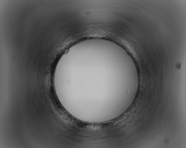 X0000100940354200806241208