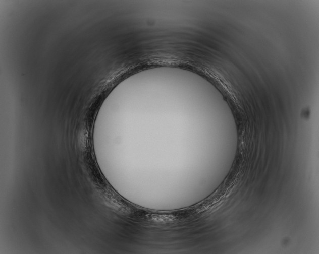 X0000100940355200806241208