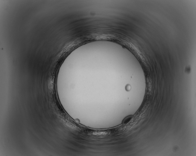 X0000100940357200806241208