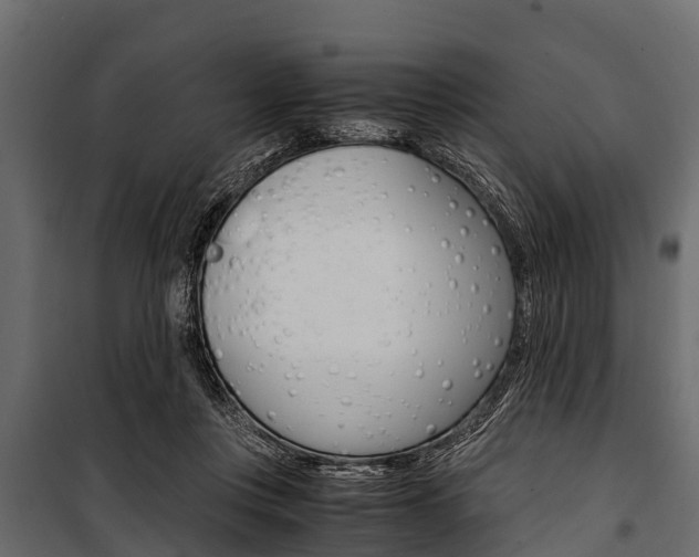 X0000100940359200806241208