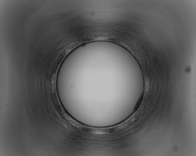 X0000100940360200806241208