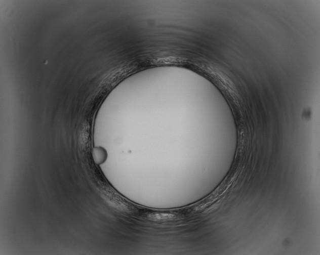 X0000100940361200806241208