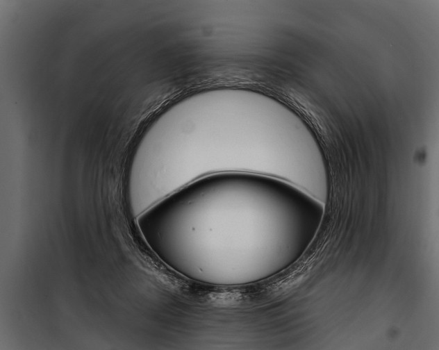 X0000100940362200806241208