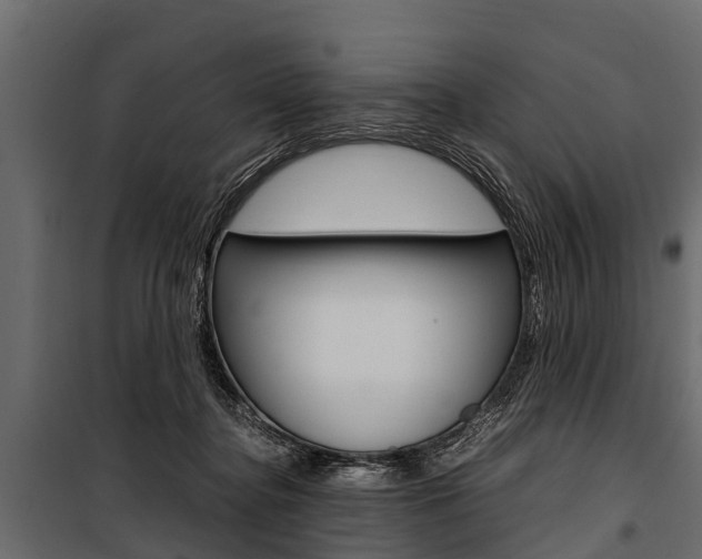 X0000100940364200806241208
