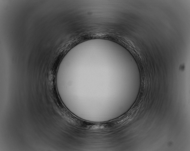 X0000100940366200806241208